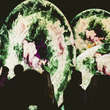 Audience silhouettes in front of circular screens with green and white projected imagery.