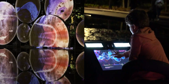 RIPPLE at Botanica. Portfolio images supplied by Georgie Pinn.